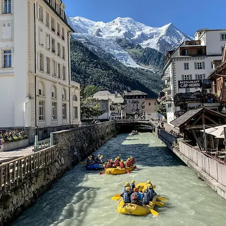 Au Coin Du Mont Blanc 公寓 *