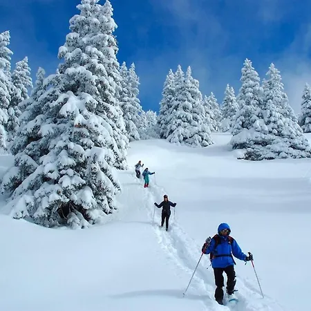 Au Coin Du Mont Blanc 霞慕尼