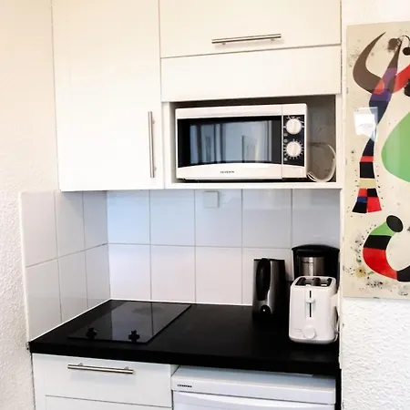 Au Coin Du Mont Blanc Апартаменты *